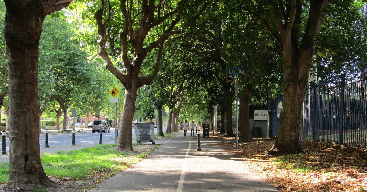 Image of a long cycle lane and walkway on a summers day on Griffith Avenue in Dublin. Photo taken by John Mulhall.